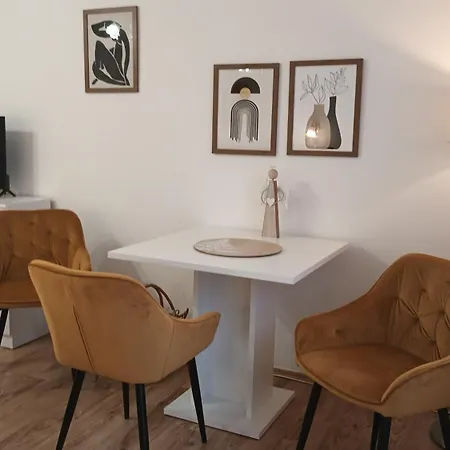 Apartament Alena Karlowe Wary