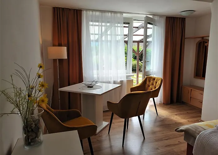 Apartment Alena Karlovy Vary