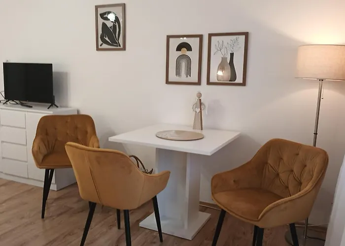 Apartment Alena Karlovy Vary